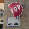 DSC01529.JPG